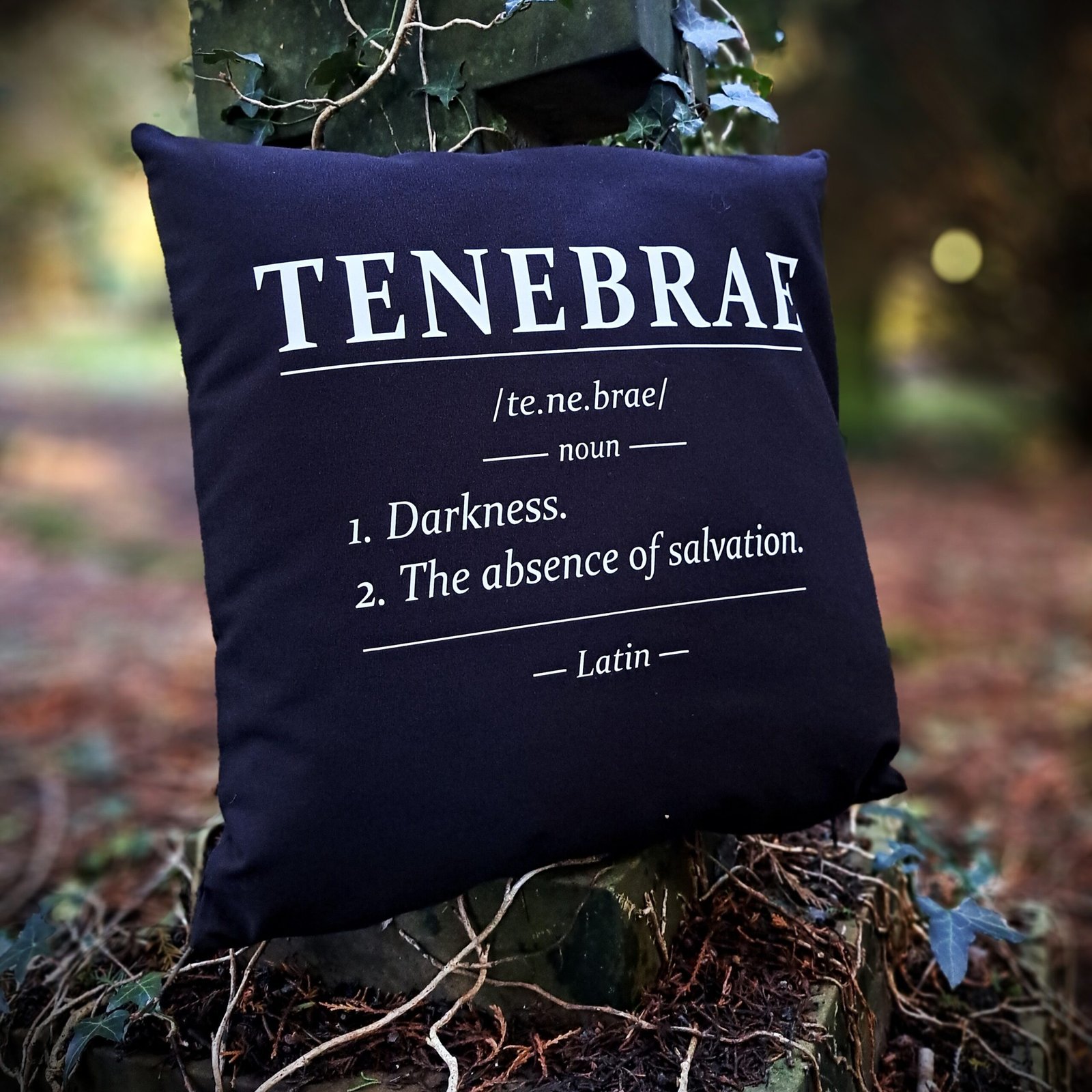 Black gothic cushion cover featuring the Latin word Tenebrae and darkness definition in dictionary typography displayed against a grave cross in a woodland cemetery.