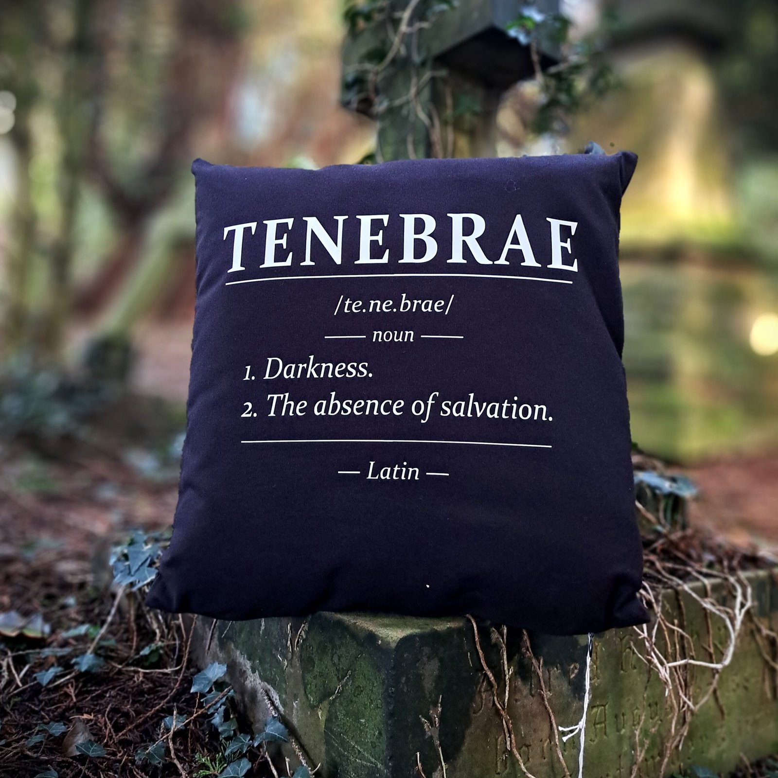 Gothic Cushion Cover 40x40cm – Tenebrae - Image 3